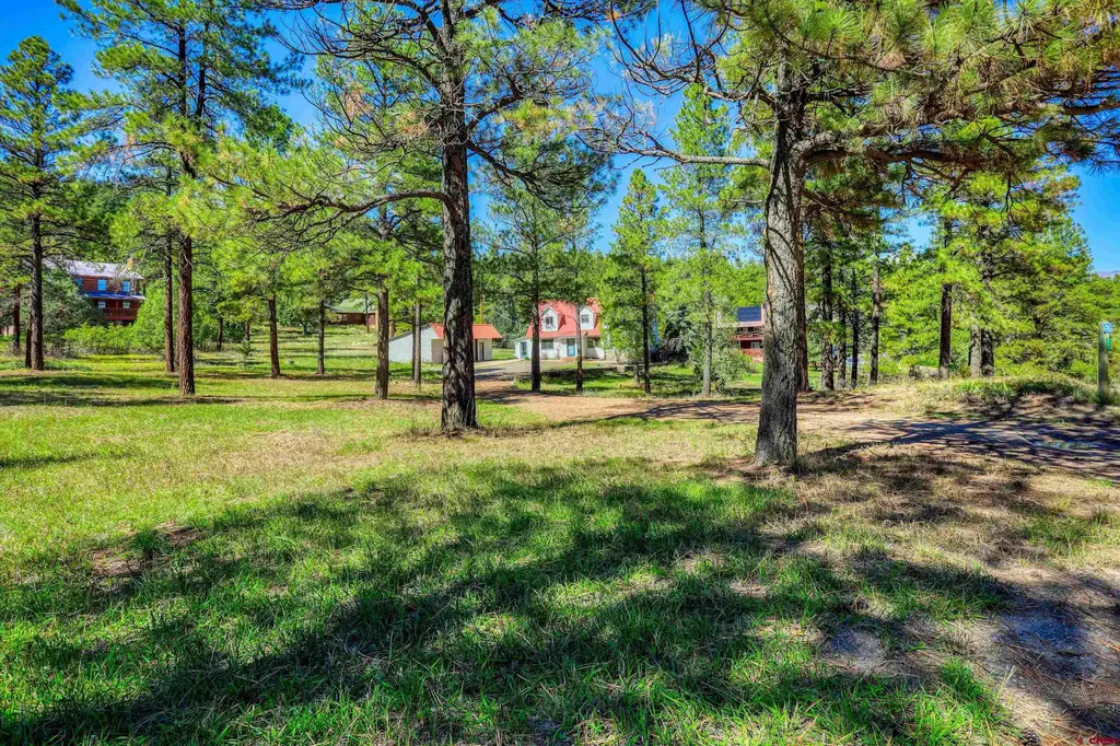 224 Rainbow Drive, Pagosa Springs