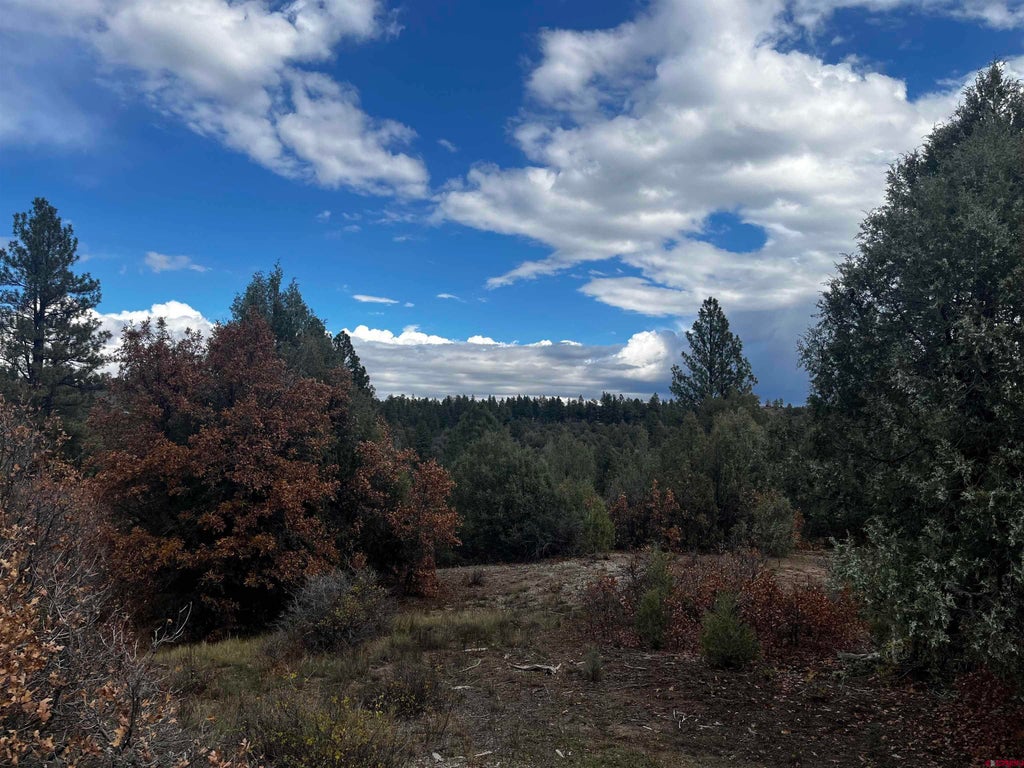 1146 Harvard Avenue, Pagosa Springs