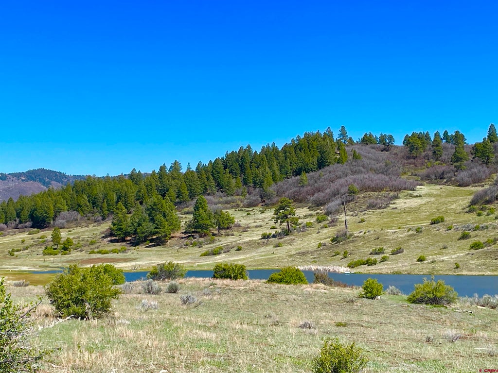 265 Spring Creek Circle, Chromo