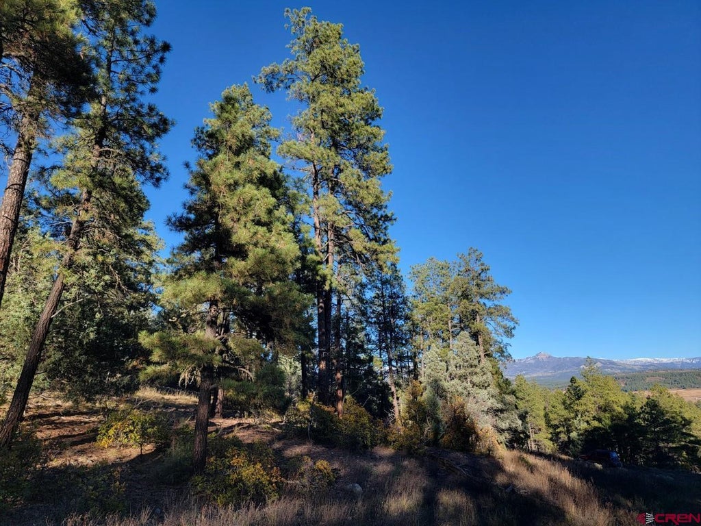 21 Echo Lake Access Easement, Pagosa Springs