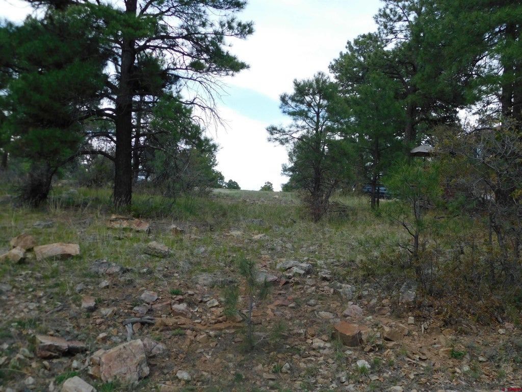 49 Masters Circle, Pagosa Springs