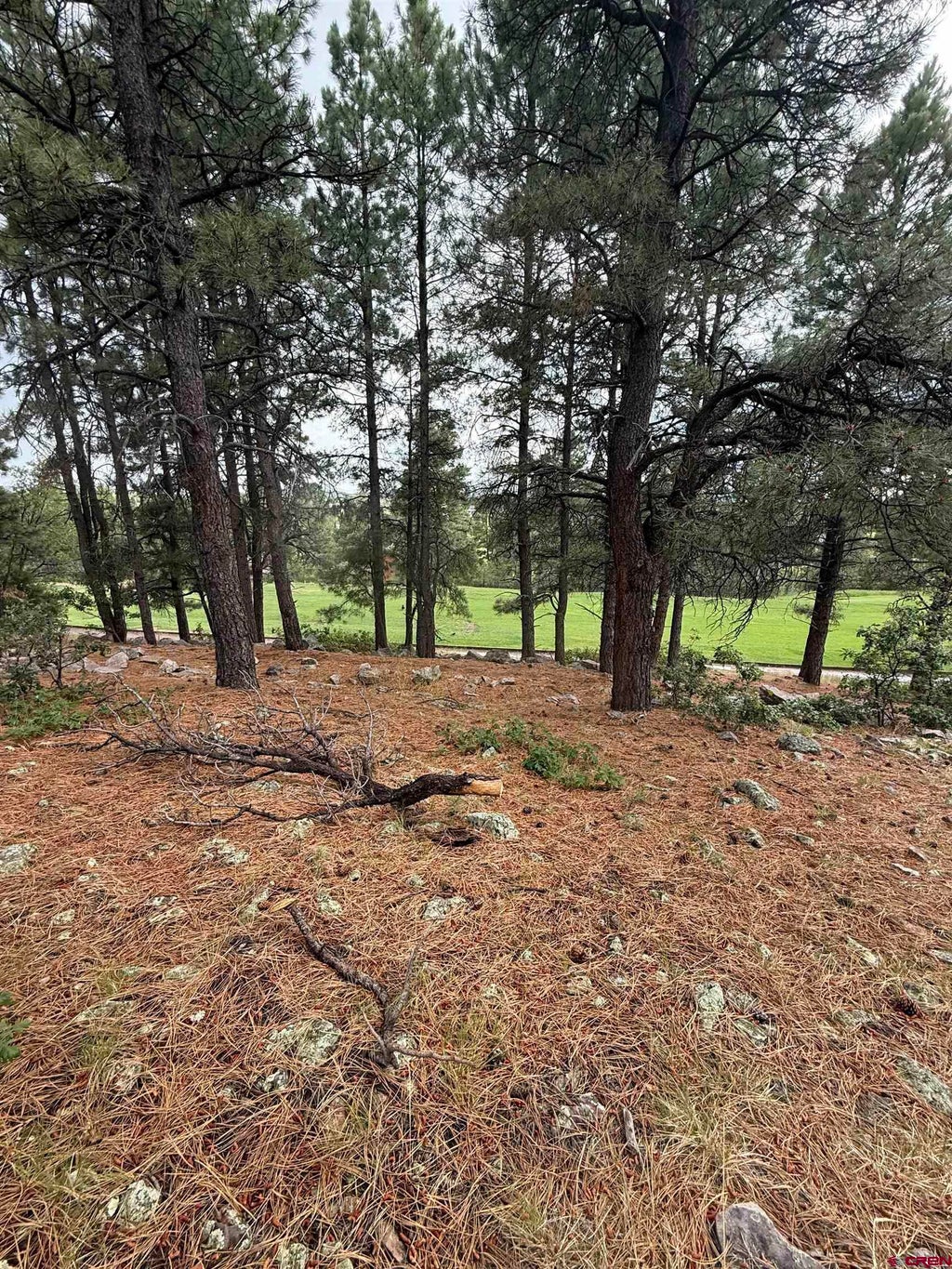 94 W Golf Place, Pagosa Springs