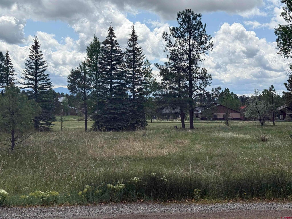 201 Pines Club Place, Pagosa Springs
