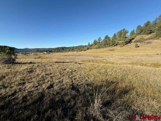 980 Catchpole Drive, Pagosa Springs