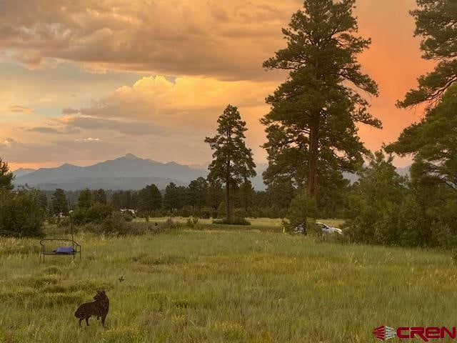 75 Vista San Juan, Pagosa Springs