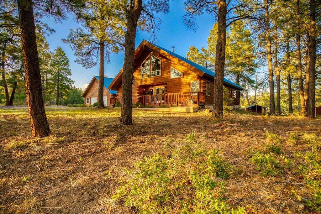 367 Oren Road, Pagosa Springs