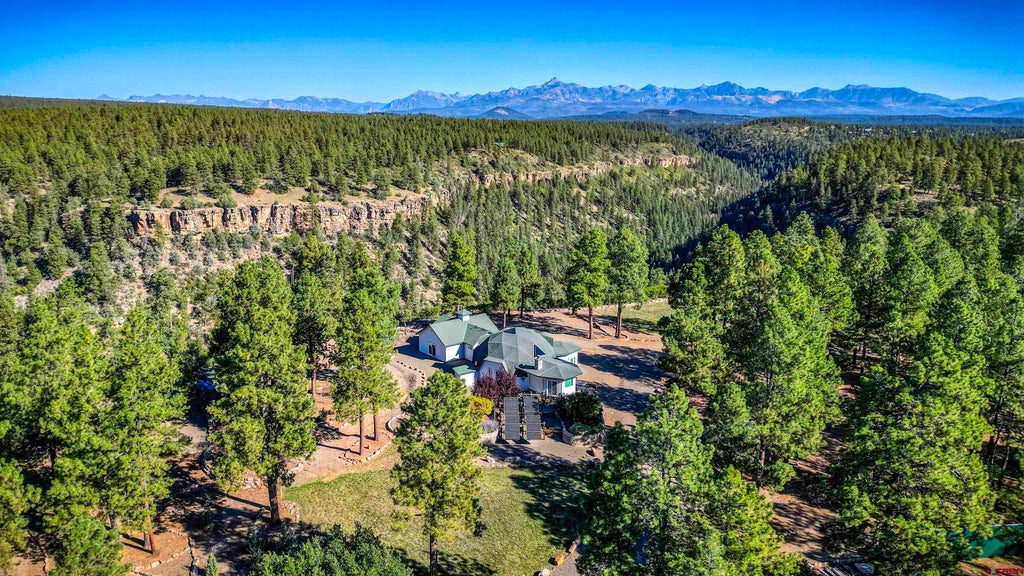 203 Yeoman Drive, Pagosa Springs