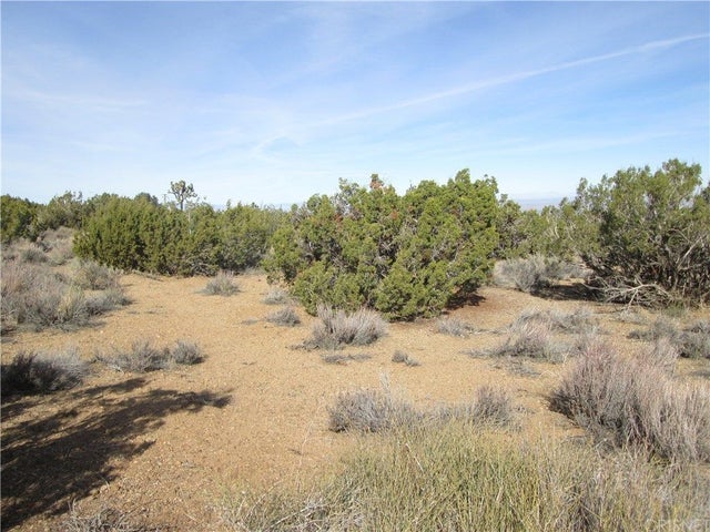 Photo of Listing #SR19011218