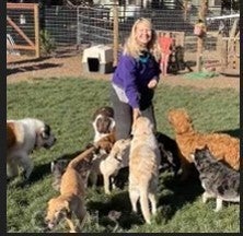 2945 Reeves Lane, Lakeport