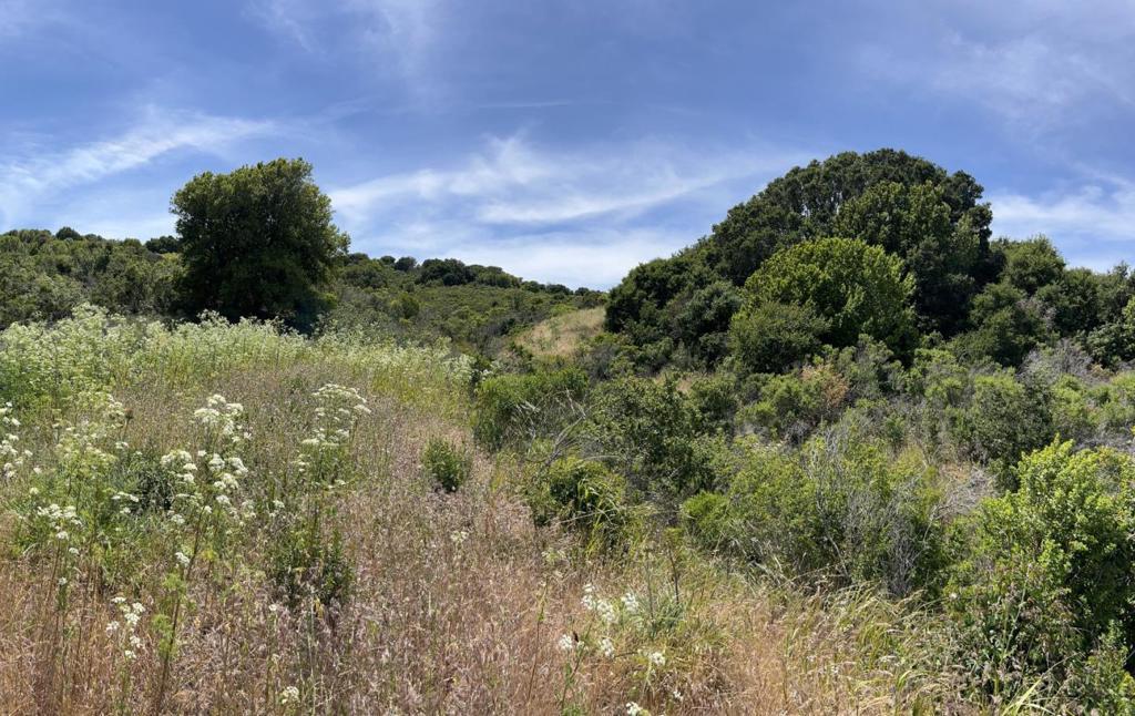 Photo of Listing #ML81991310