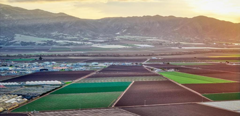 Photo of Listing #ML81992444