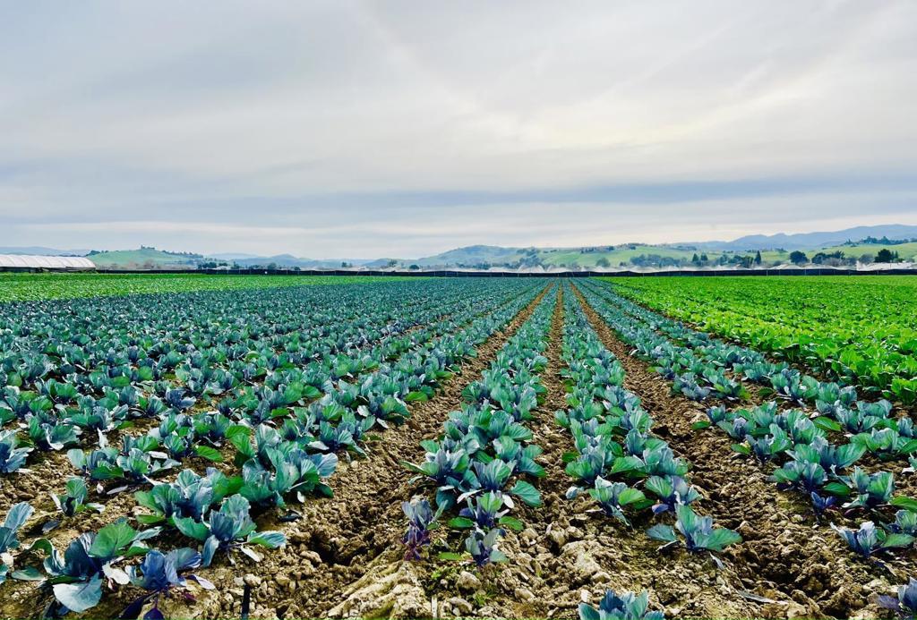 Photo of Listing #ML81992566