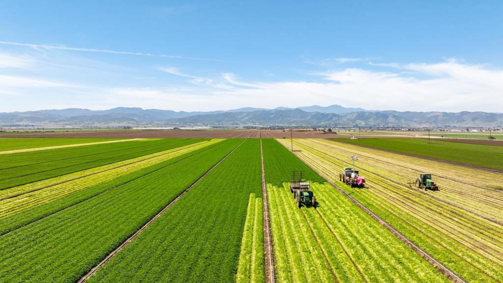 48453 Lonoak Road, King City