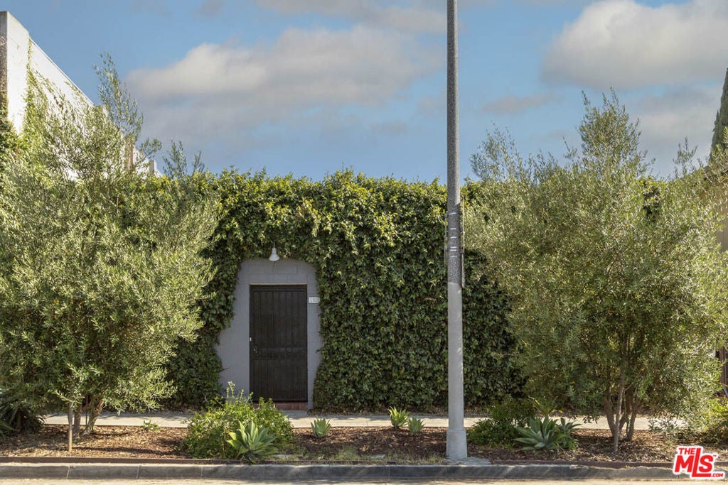 Photo of Listing #25559331