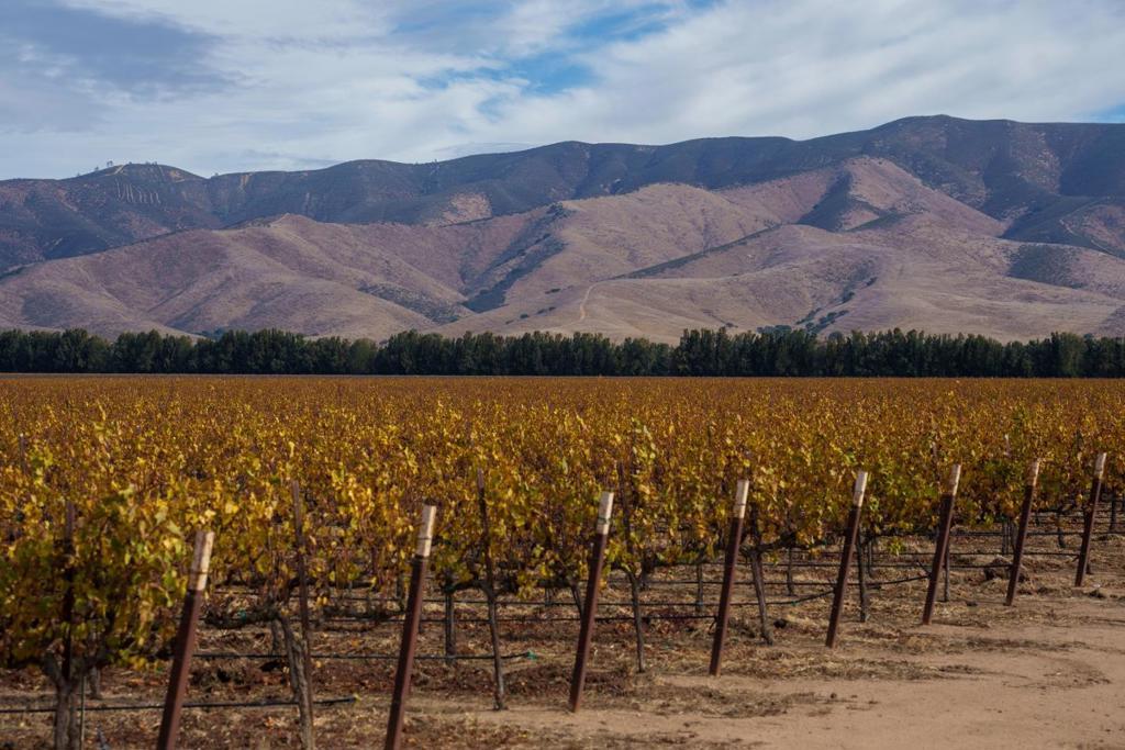 Photo of Listing #ML82023646