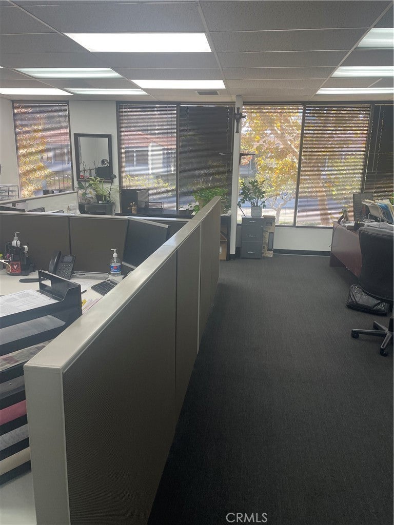 2081 Buisness Center Drive # 219, Irvine