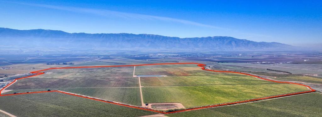 Photo of Listing #ML82030648