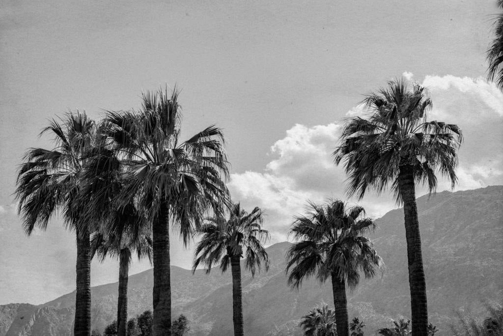 Photo of Listing #219142459DA