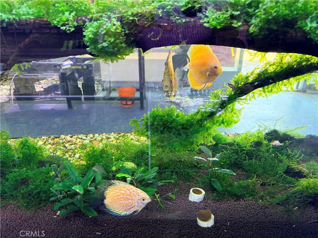 Photo of Listing #OC26035238