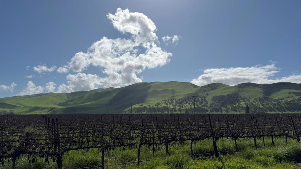 Photo of Listing #ML82037969