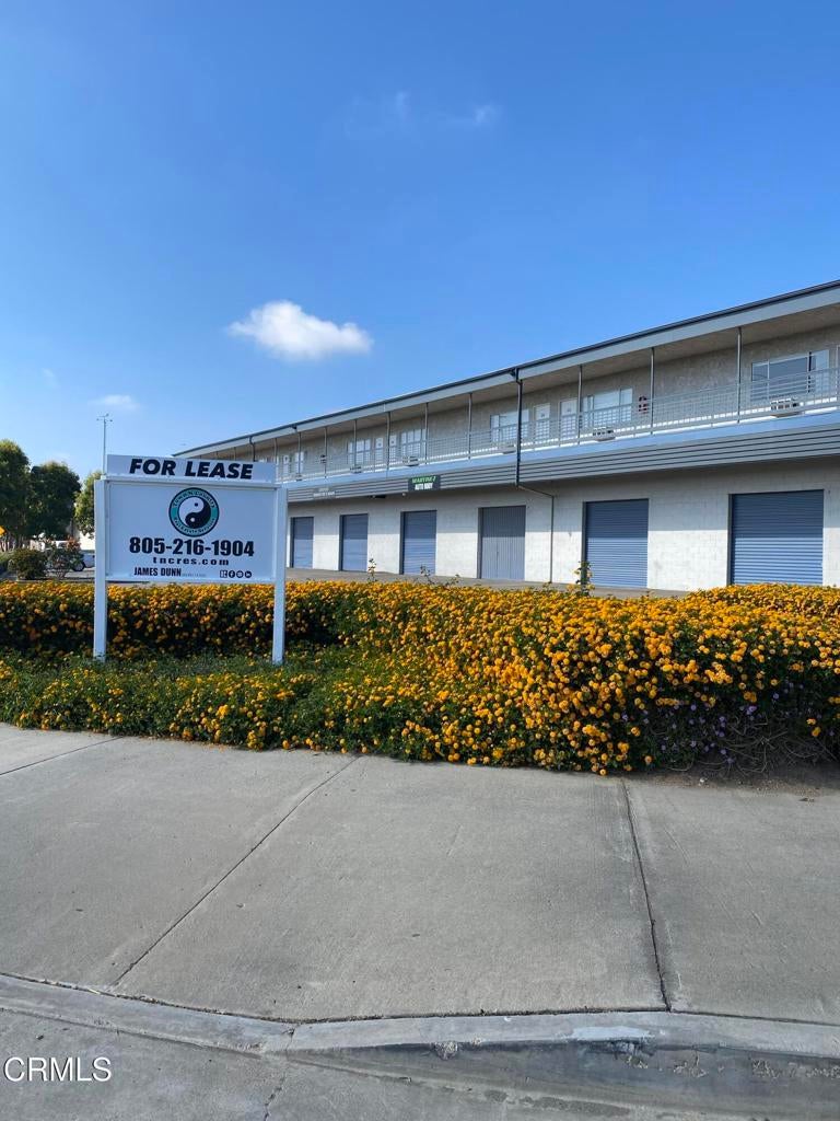 Photo of Listing #V1-35383