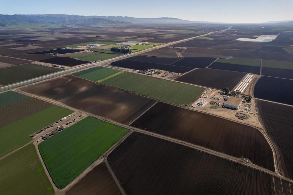 N/A, Salinas