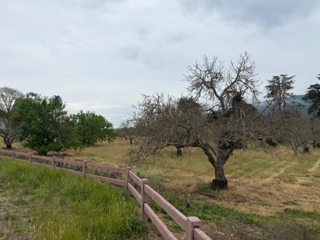 Photo of Listing #ML82040982