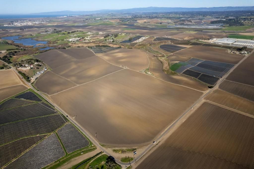 N/A, Salinas