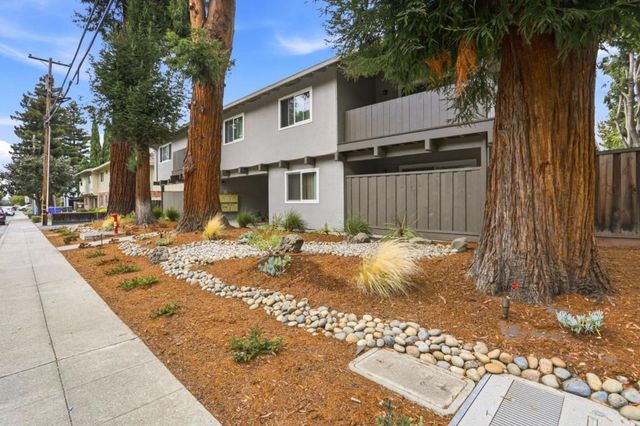 239 Easy Street, Mountain View
