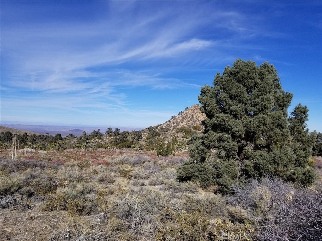 Photo of Listing #DW21269960