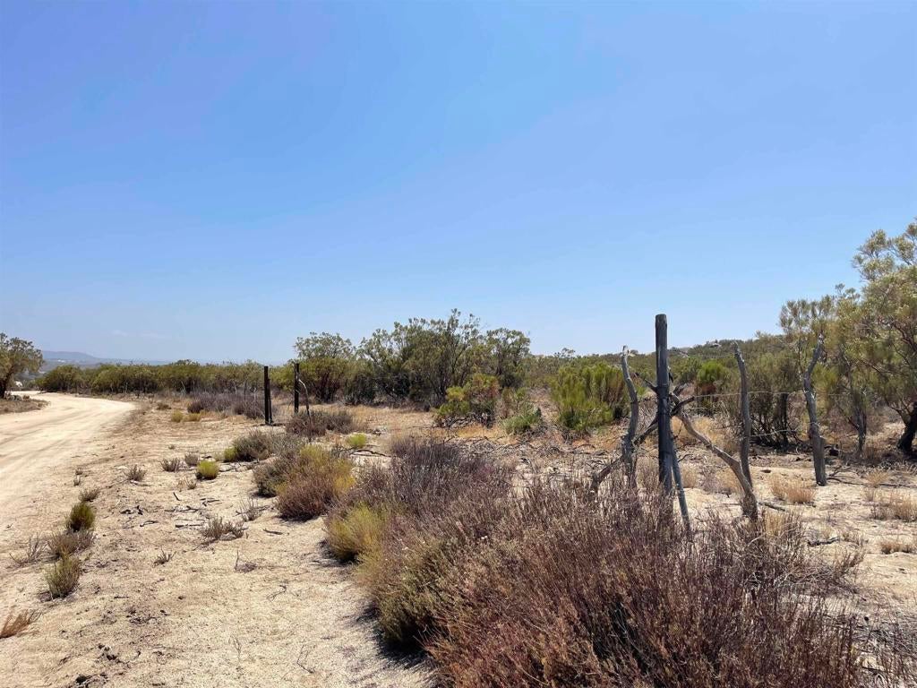 Camino Vecinal, Other