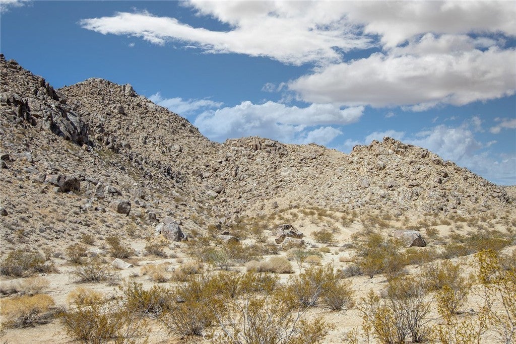 Photo of Listing #JT22138795