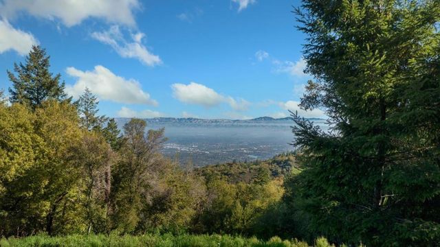 16968 Bohlman Road, Saratoga