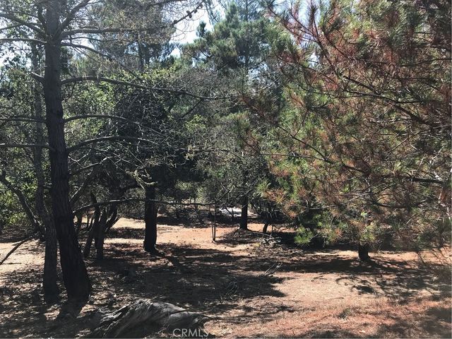 Tully Place, Cambria