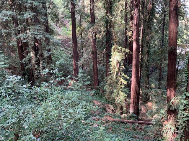 21745 Lindbergh Drive, Los Gatos