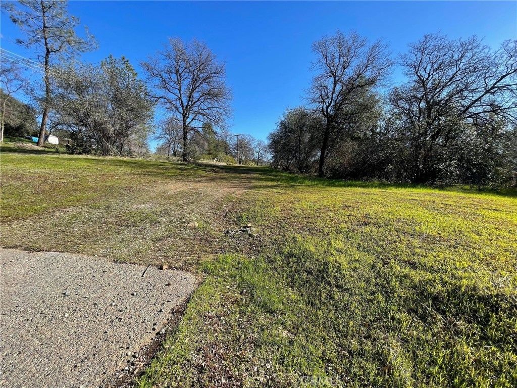 Olive, Oroville