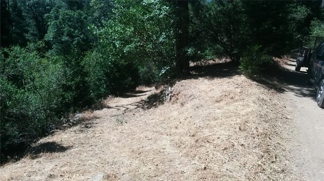 787 Burnt, Cedarpines Park