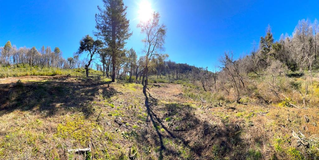 Photo of Listing #ML81922831