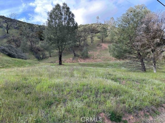 Photo of Listing #LC23065451