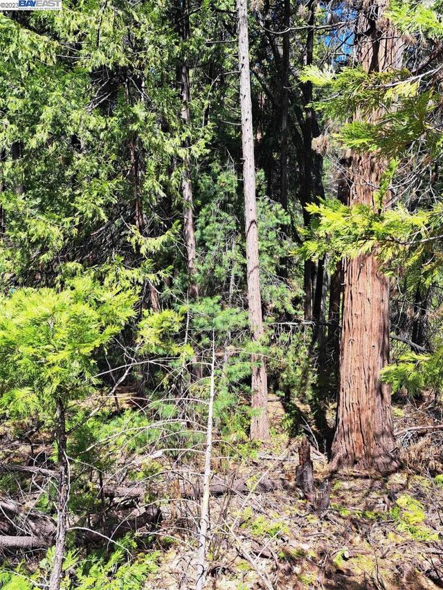 N/A, Pollock Pines