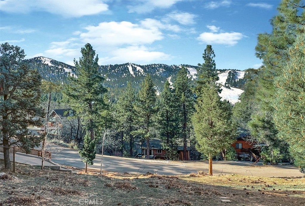 43455 Sheephorn Road, Big Bear Lake CA Big Bear Lake Lots/Land Homes