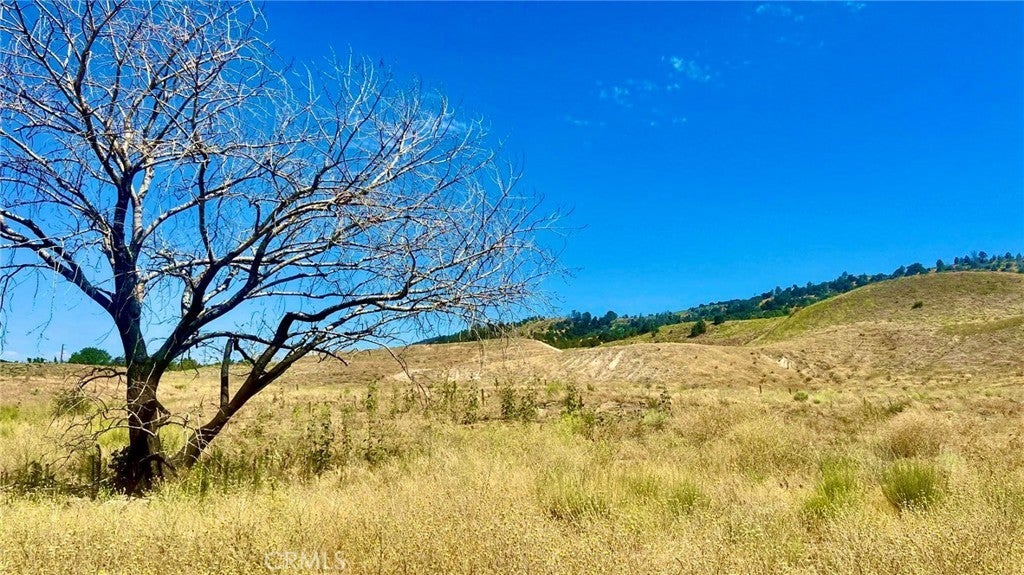 Vac/lancaster Rd/vic 3 Mi E I5, Gorman CA Gorman Lots/Land Homes For Sale