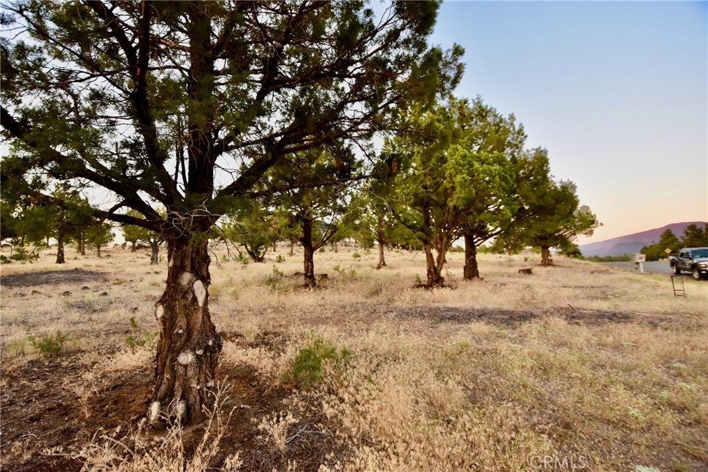 Lake Shastina Dr., Weed CA Weed Lots/Land Homes For Sale