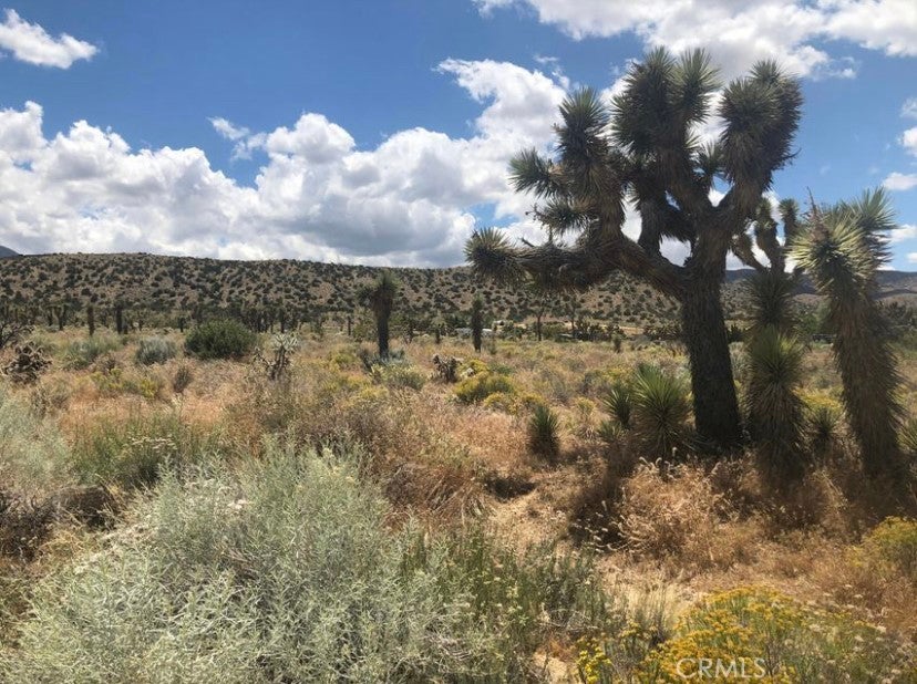 Vac/pearblossom Pav /vic 160 S, Pearblossom