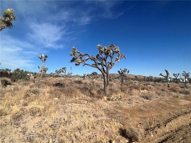 111 Wallaby, Yucca Valley