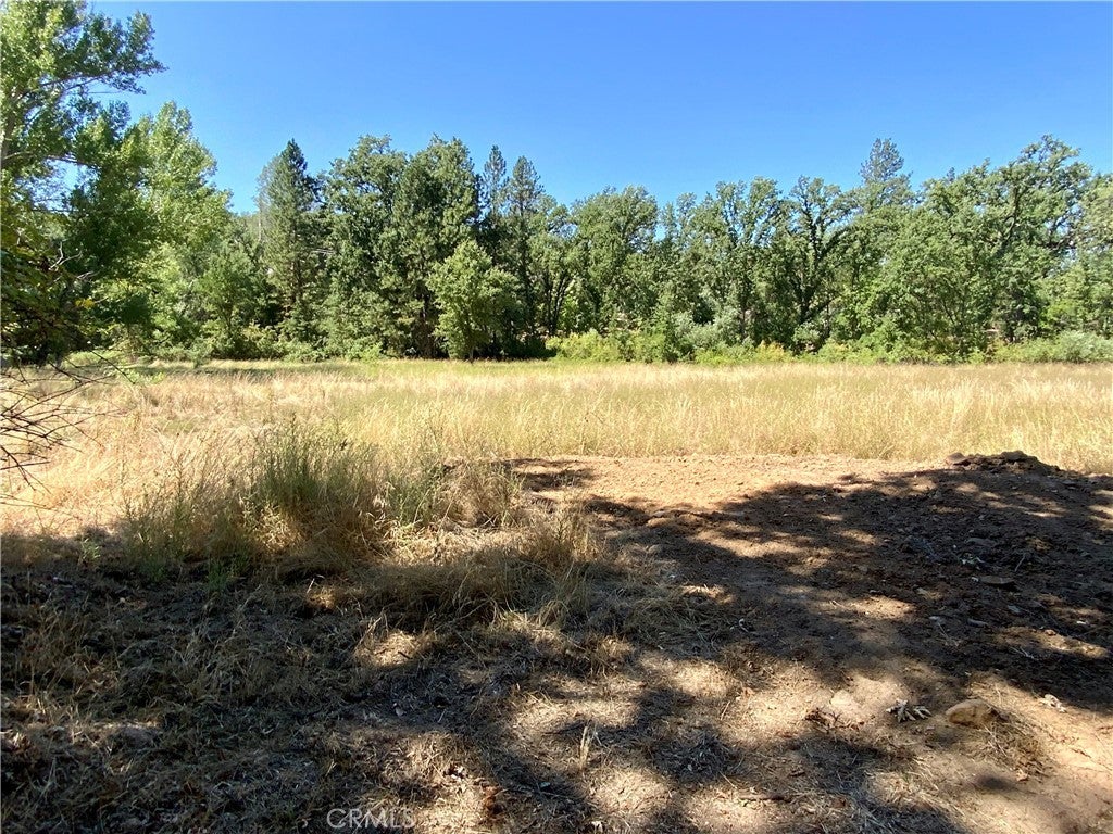 Giant Oak Road, Oakhurst CA | Oakhurst Lots/Land Homes For Sale