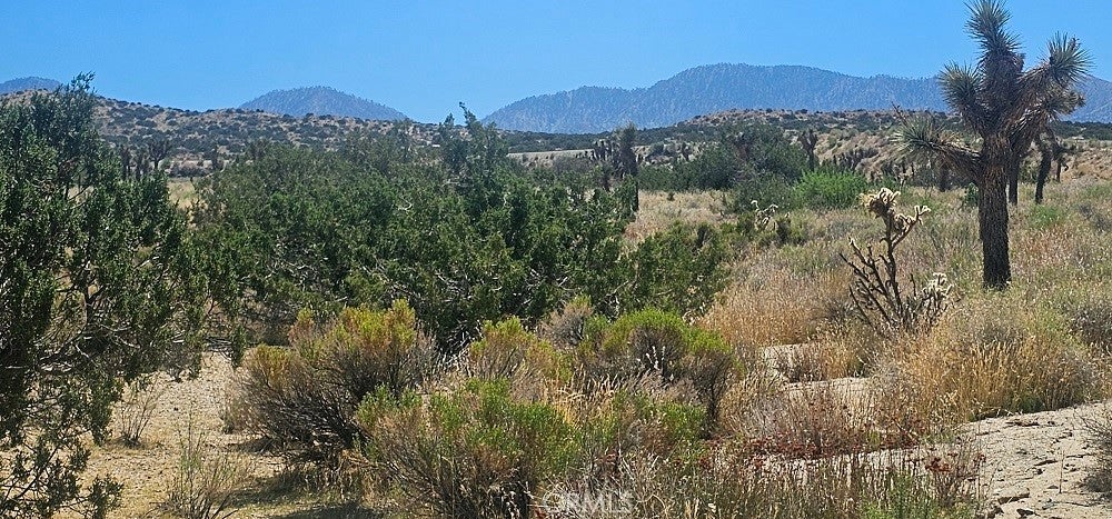 Photo of Listing #SR23164424