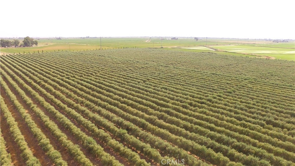 Photo of Listing #SN23175382