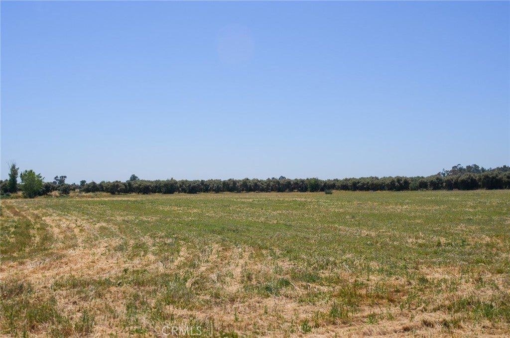 Finnel Ave, Corning CA Corning Lots/Land Homes For Sale