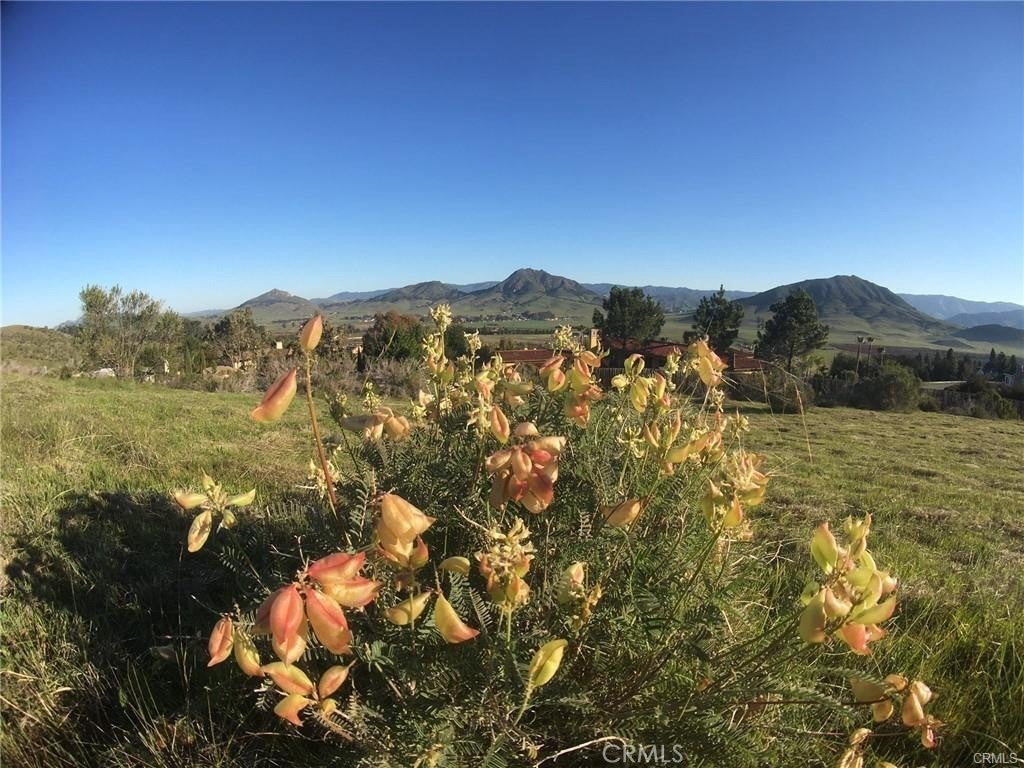 730 Via Laguna, San Luis Obispo